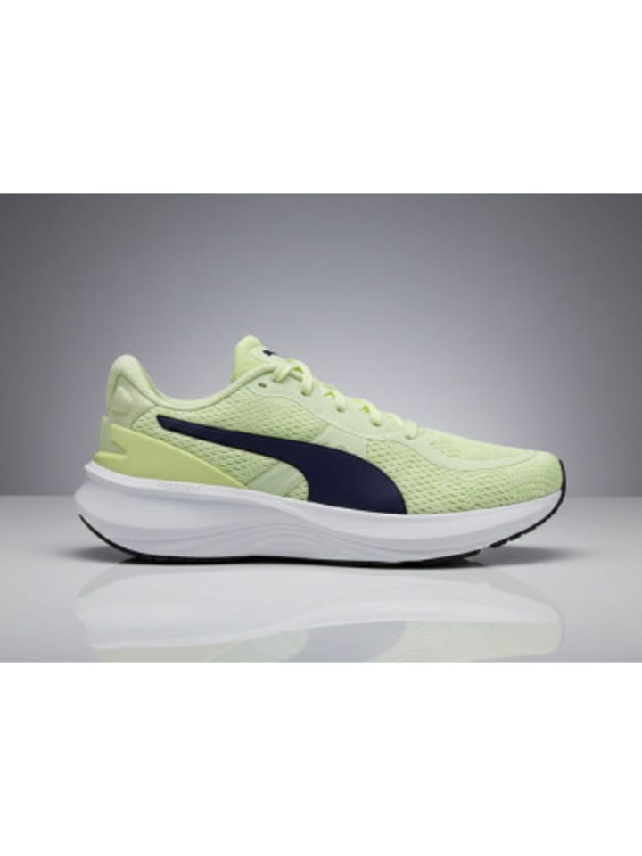 Sneaker Scend in Grün