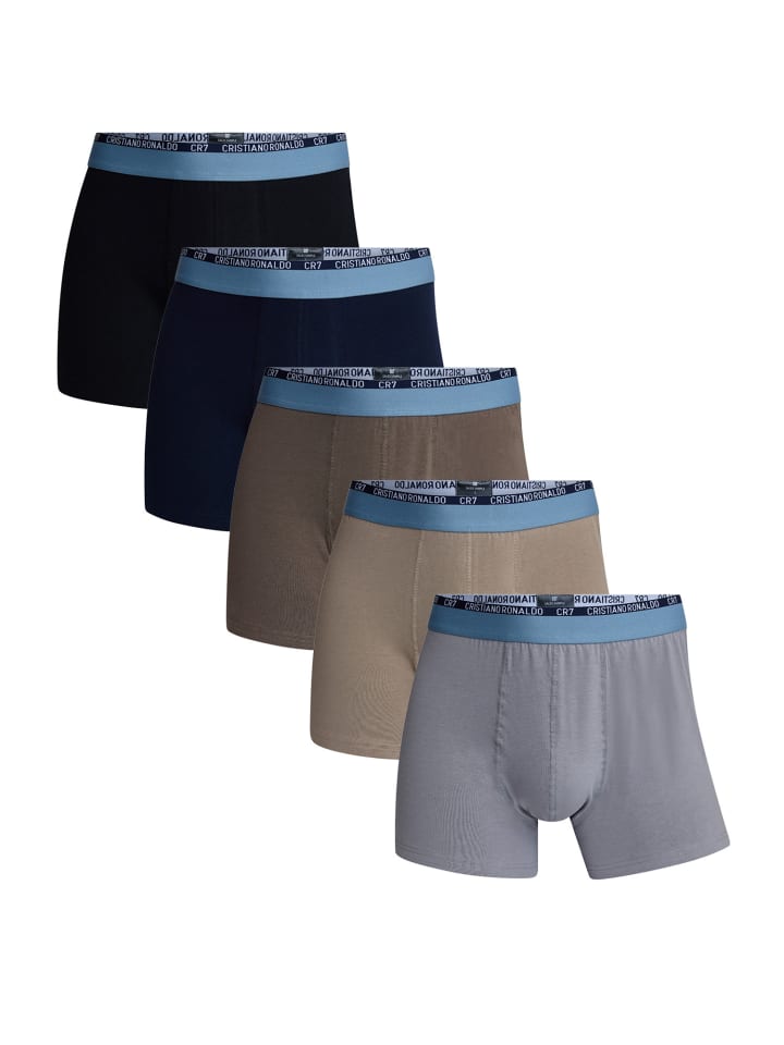 Boxer Basic Trunk in Multi