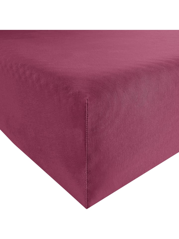 Single-Jersey Spannbettlaken Freising in aubergine