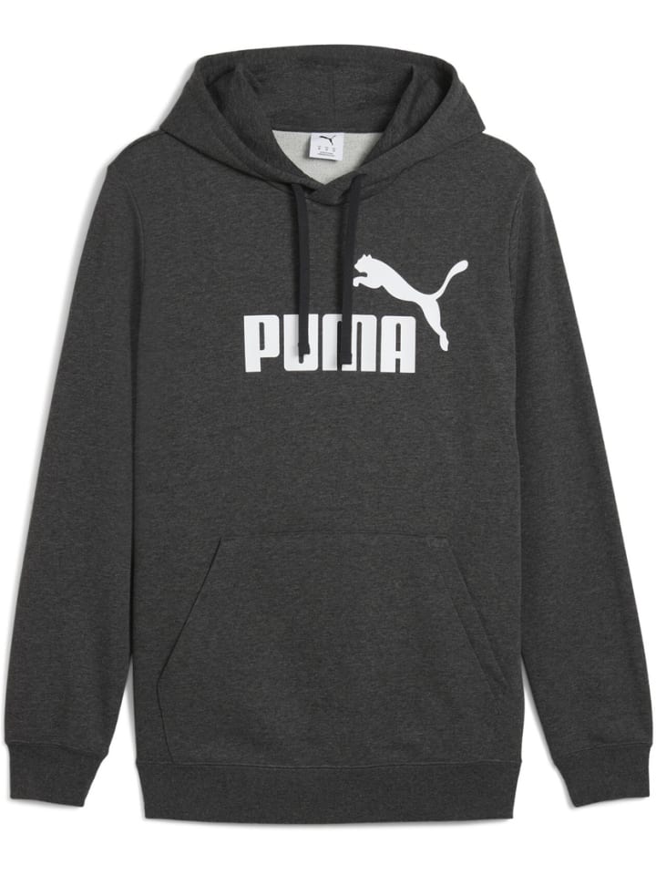 Hoodie "ESS No.1 Logo Hoodie TR" in Grau