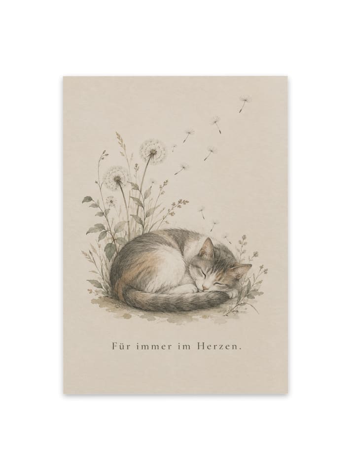 Trauerspruchkarte Katze friedlich Design mit Sp... in Weiß