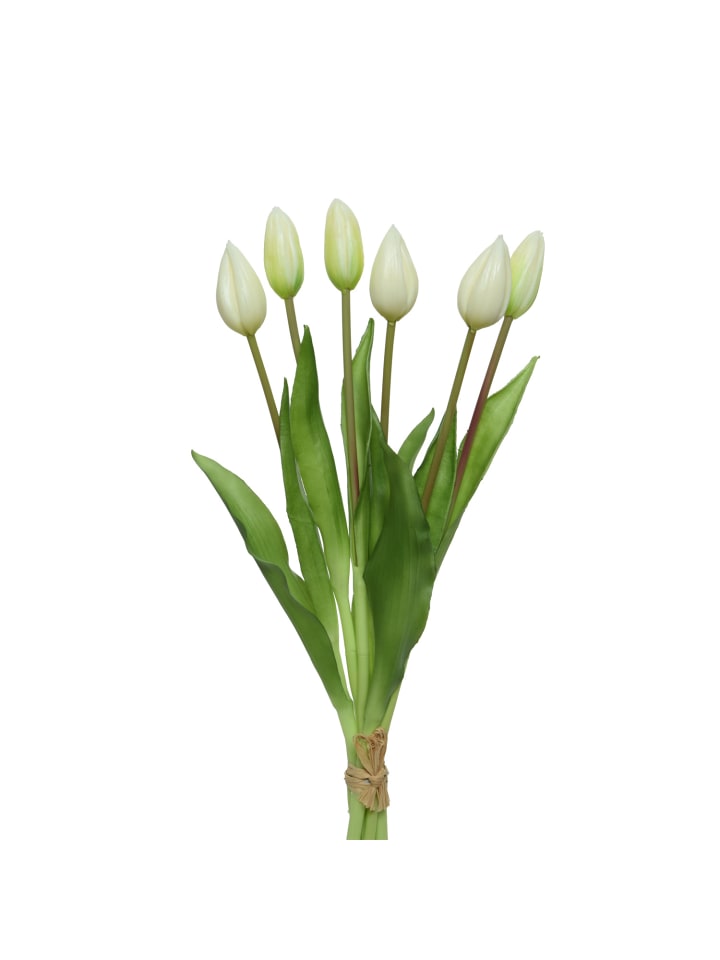 Tulpenbund mit 6 Blüten in weiß - H: 40cm
