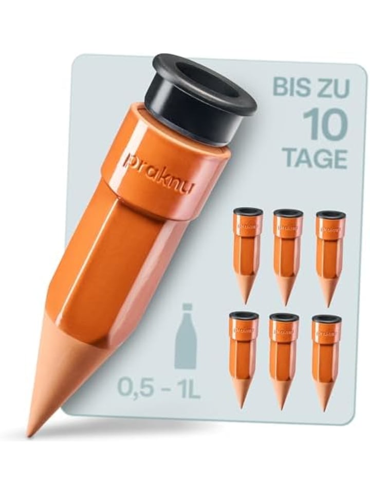Tonkegel Bewässerung 6er Set mit Adapter für 0,5-1L PET-Flaschen