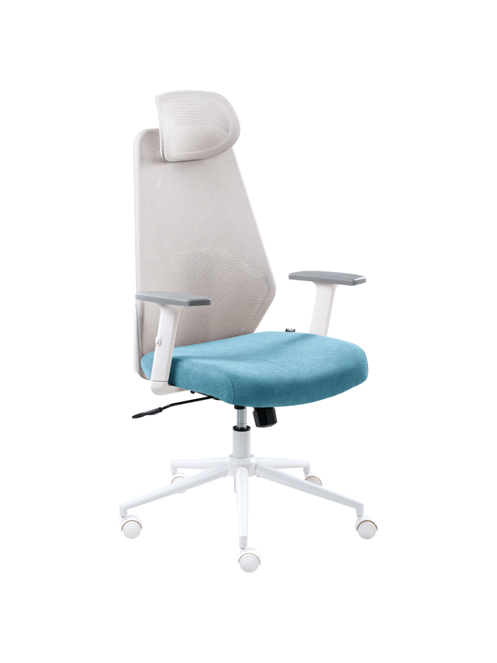Bürostuhl ORYN in Grau/Blau/Weiß - (W) 71 x (H) 115 x (L) 65 cm