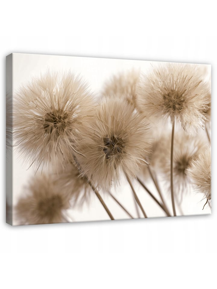 Leinwandbild Pusteblumen in Beige