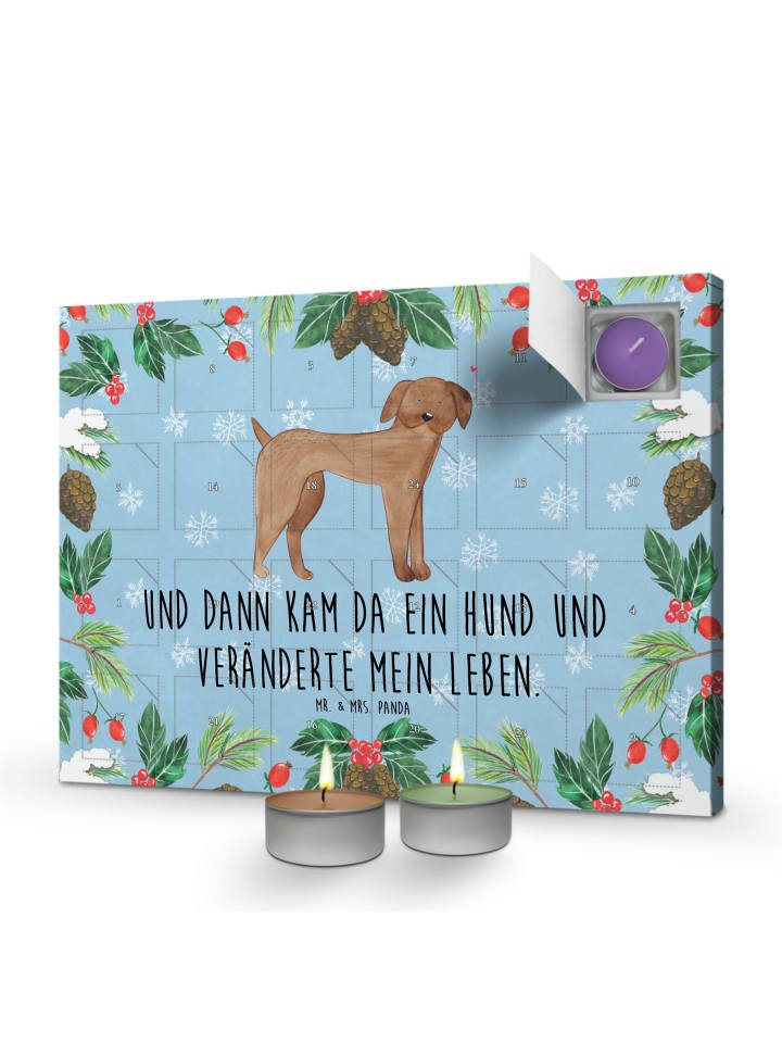Adventskalender Hund Dogge mit Spruch in Eisblau