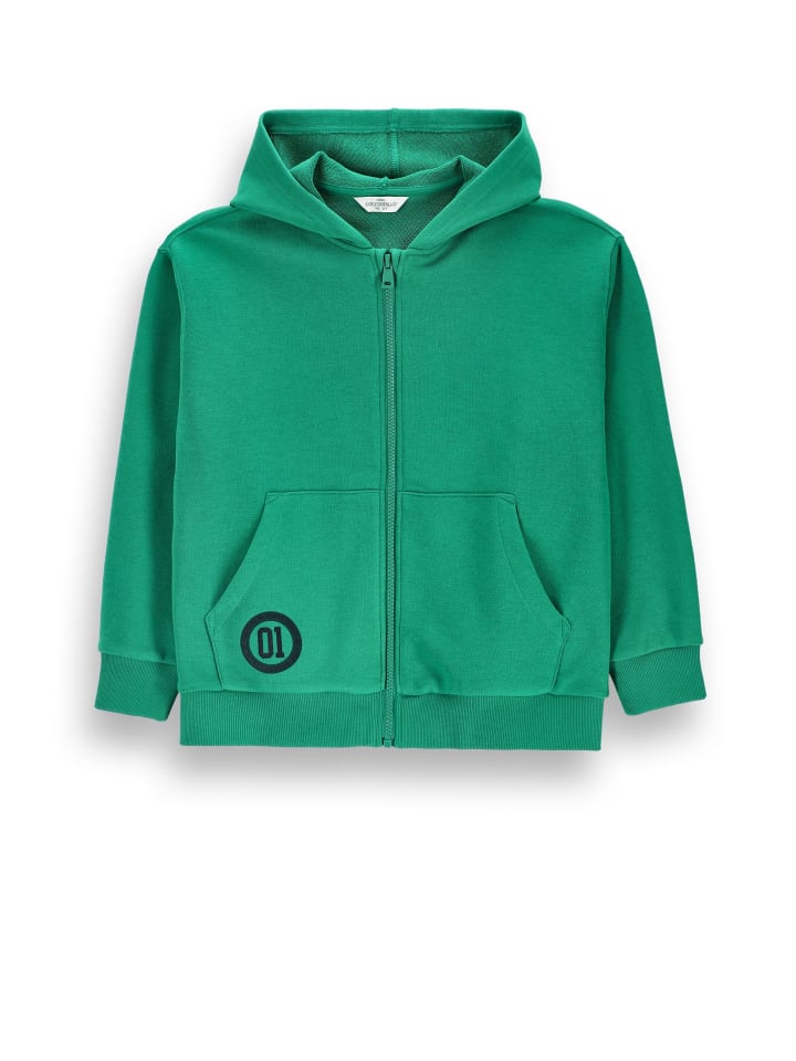 Reißverschlussjacke in grün