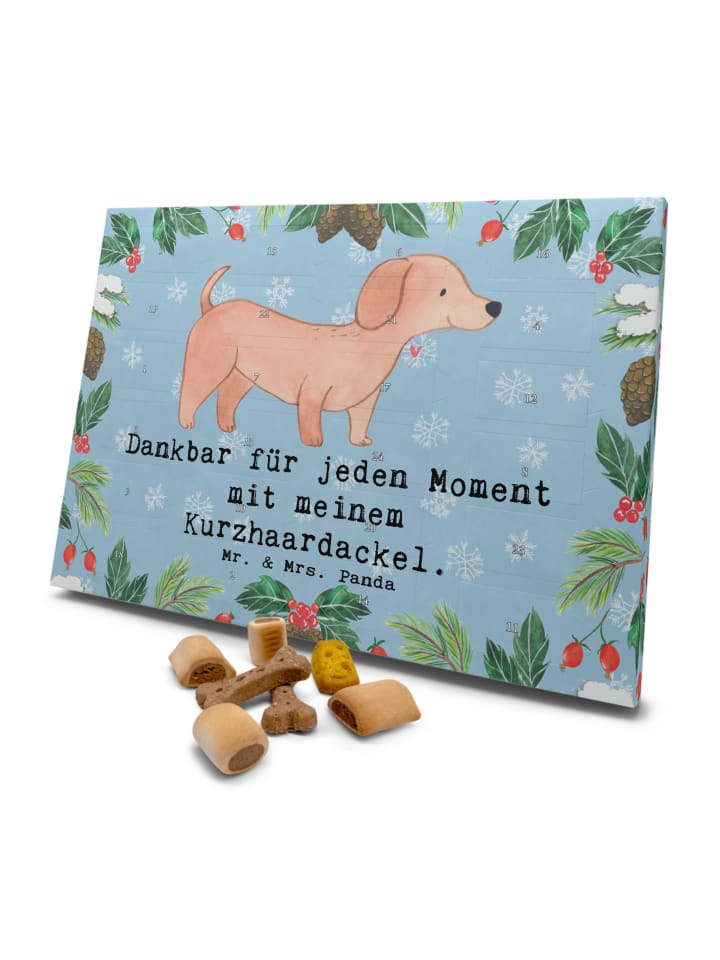 Adventskalender Hund Dackel Kurzhaardackel Mome... in Eisblau