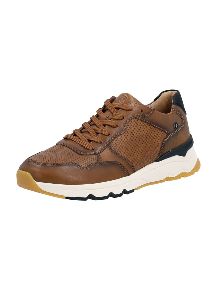 Sneaker Low in Braun