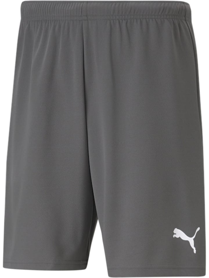 Sporthose "TeamRISE Short" in Grau