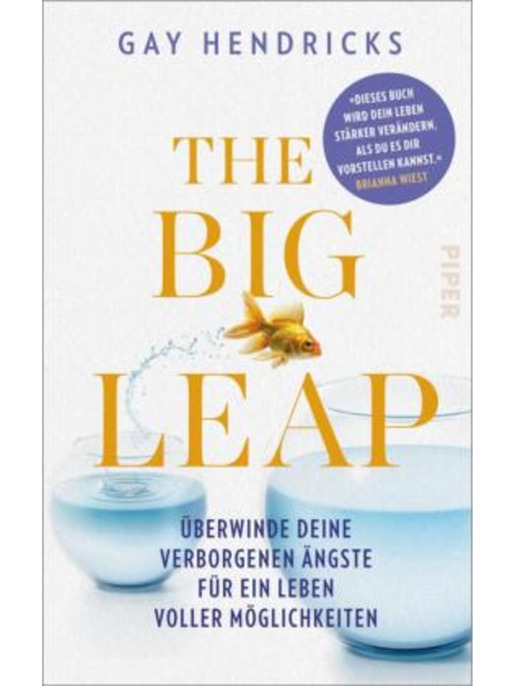 Buch - The Big Leap