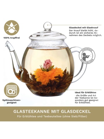 Creano Teekanne "hoch 0,5L" aus hitzebeständigem Glas 