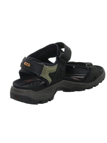 Ecco Sandalen OFFROAD  in Schwarz