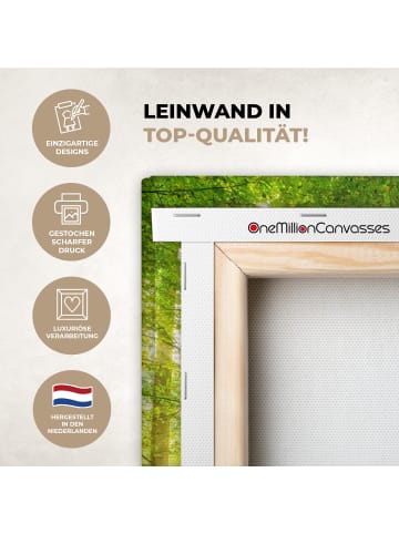 OnlyWow Leinwand Bilder Waldlicht