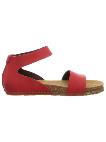 *art Sandalen in rot