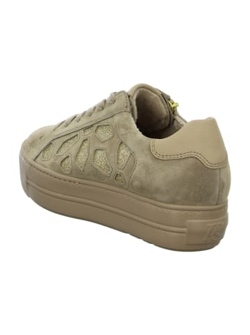 Paul Green Sportliche Schnürschuhe in Beige