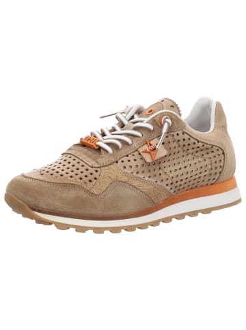 Cetti Sneaker Low in beige
