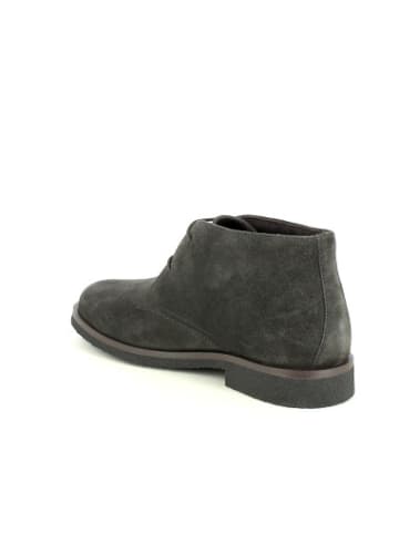 Geox Botines U in bunt