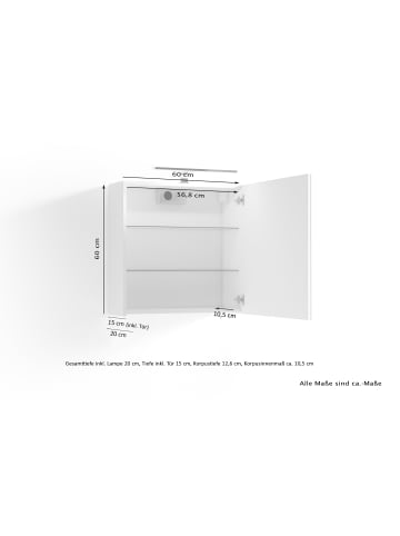 byLiving Spiegelschrank SPREE in anthrazit - B 60, H 60, T 20 cm