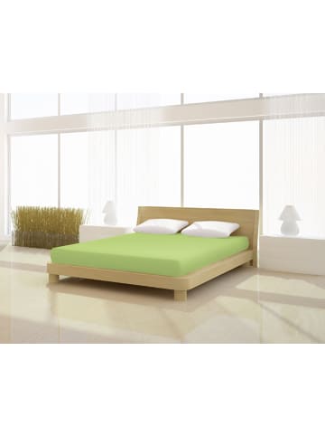 Mr.Sandman Spannbetttuch Fein Jersey de luxe 120 - 130 x 200 cm in kiwi