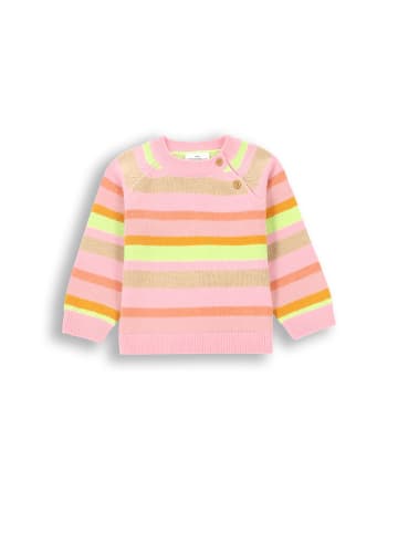 Coccodrillo Strickpullover in bunt