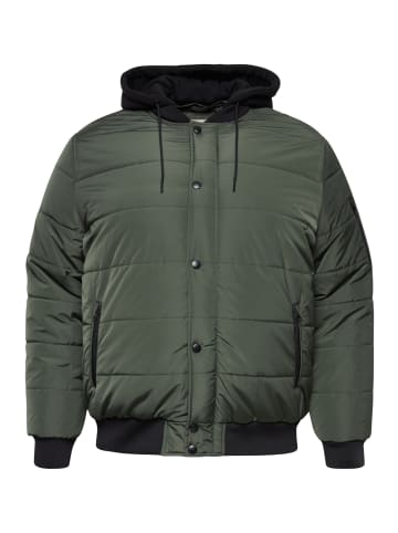BLEND Plus Size Winter Jacke mit Kapuze OUTERWEAR in Grün