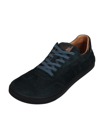 KOEL Sneaker Low HELENA SUEDE  in grün