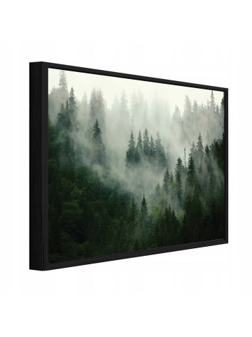 WALLARENA Bild mit Rahmen Wald in Grün