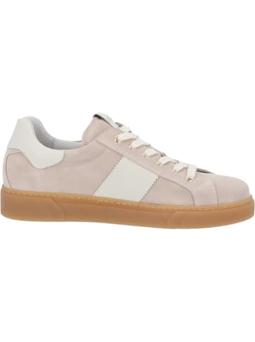 Nero Giardini Schnürschuhe in Rosa