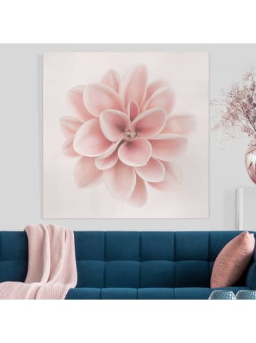 WALLART Leinwandbild - Dahlie Rosa Pastell Blume Zentriert in Rosa