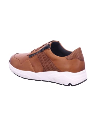 Solidus Sneaker Low in braun