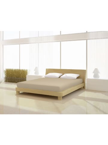 Mr.Sandman Spannbetttuch Fein Jersey de luxe 90 - 100 x 200 cm in cappuccino