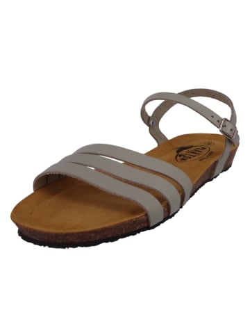 Plakton Sandalen grün