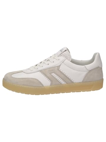 Sioux Sneaker Tedroso-711 in beige
