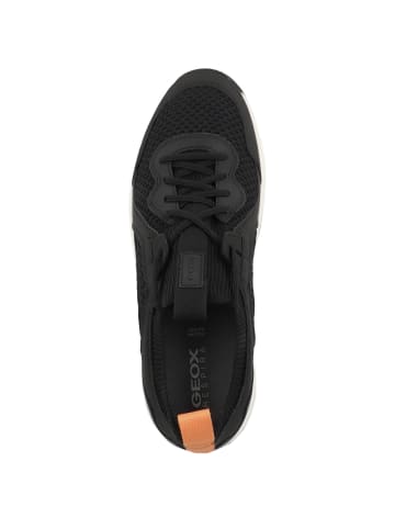 Geox Sneaker low U Terrestre A in schwarz