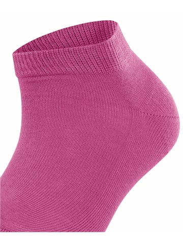 Falke Sneakersocken Family in Hot pink