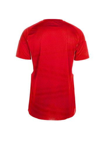 adidas Performance Fußballtrikot Tiro 23 Club in rot / weiß