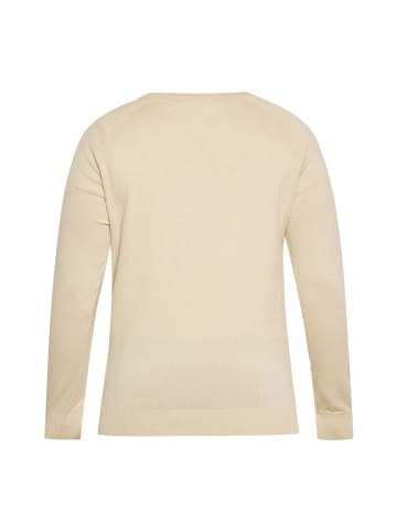 DreiMaster Maritim Men Sweater in Beige