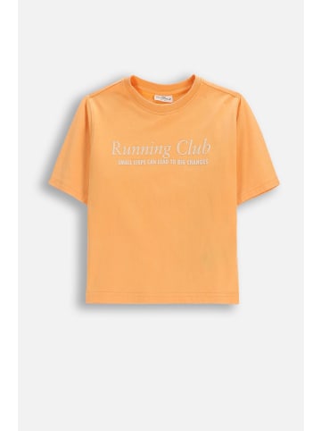 Coccodrillo Baumwoll-T-Shirt mit kurzen Ärmeln in orange