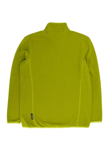 Jack Wolfskin Pullover Sweater Echo Fleece in Grün