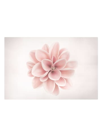 WALLART Leinwandbild - Dahlie Rosa Pastell Blume Zentriert in Rosa