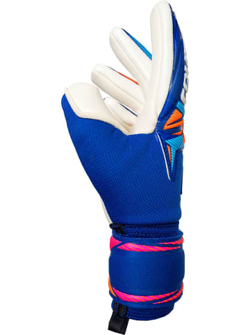 Reusch Torwarthandschuhe Attrakt Gold X NC Junior Profi in 4126 sharp blu/wht/shock orng