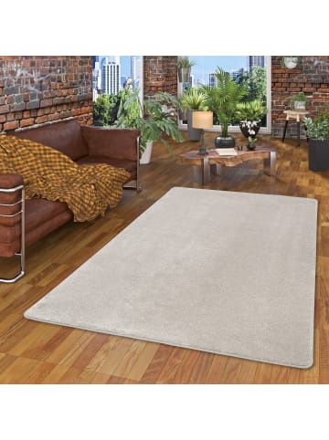 Snapstyle Hochflor-Teppich Touch in silber