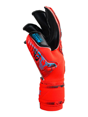 Reusch Torwarthandschuhe Attrakt Gold X Evolution Cut in 3333  brig red/futr blu/blck