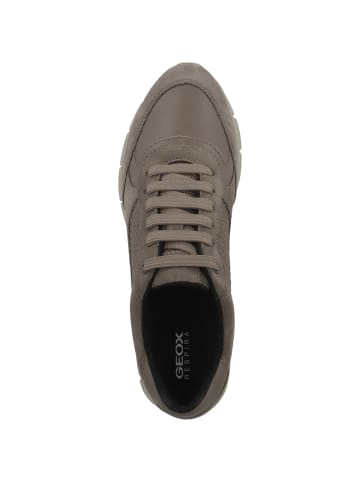 Geox Sneaker low D Sukie A in braun