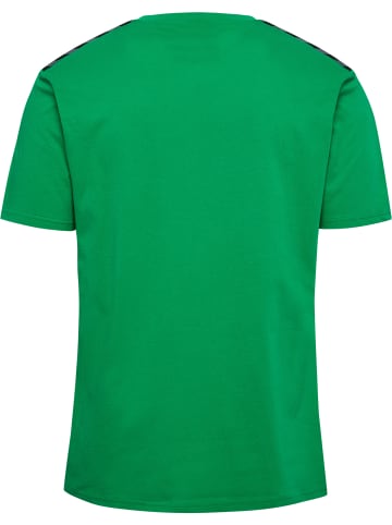 Hummel Hummel T-Shirt Hmlauthentic Multisport Herren in JELLY BEAN