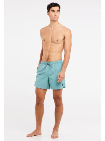 Protest " FAST in Arcticgreen