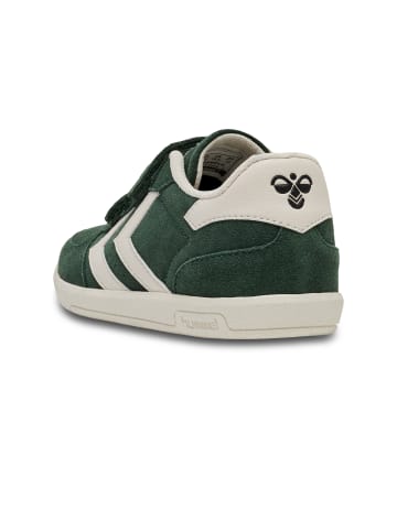 Hummel Hummel Sneaker Victory Suede Kinder in PINENEEDLE