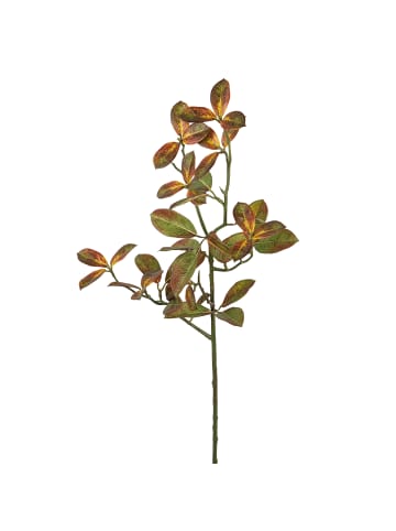 Fink Kunstblume Blatt braun, grün - (H) 78 cm