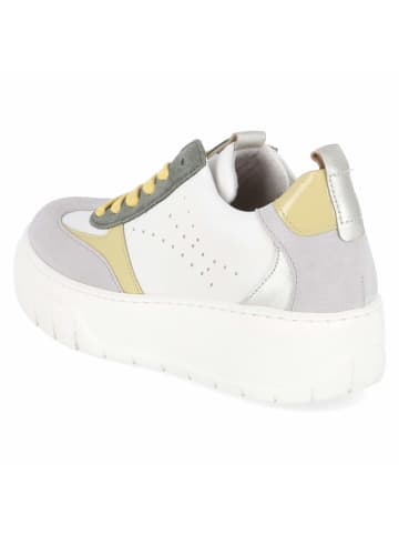 Gabor Schnürhalbschuh in multicolor